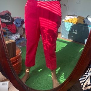Virtual Pink Jacquard Cropped Pants